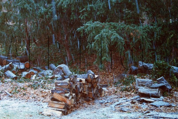 snowy firewood
